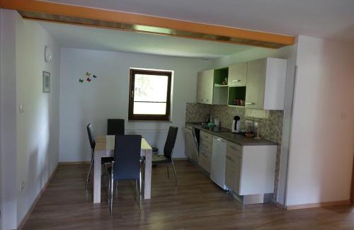 Ribcev Laz Apartment | BOOA Rooms Irena
