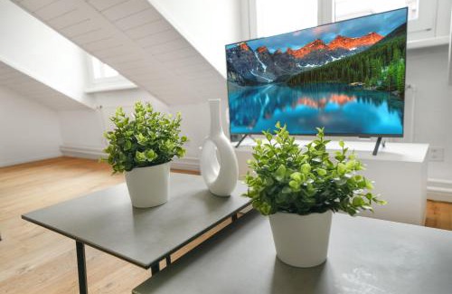 St. Gallen Apartment | book2stay moderne Wohnung OLMA-Areal