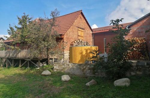 Turnu Ruieni House | Borlova/Muntele Mic