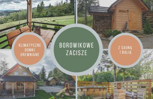 Lapsze Nizne House | Borowikowe Zacisze drewniane domy z dostępem do balii i sauny