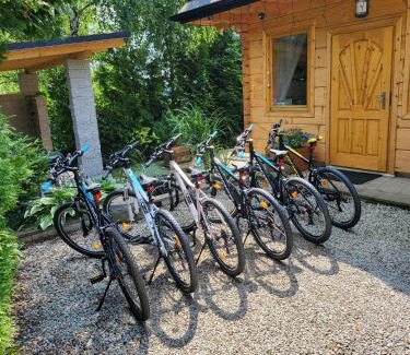 Lapsze Nizne House | Borowikowe Zacisze drewniane domy z dostępem do balii i sauny