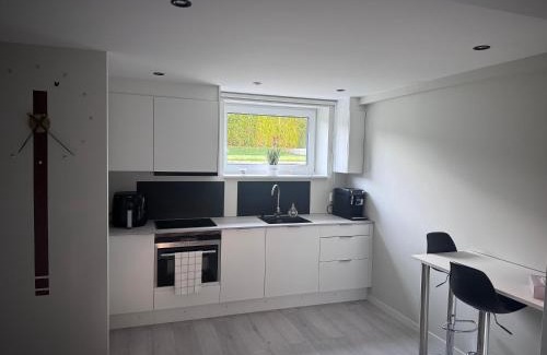 Horten Apartment | Borre!