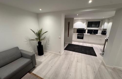 Horten Apartment | Borre!