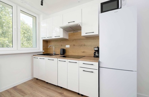 Bielsko-Biala Apartment | Boruty-Spiechowicza 20 | Bielsko-Biała | Bright Apartment | 4 People