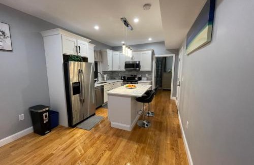 Dudley - Brunswick King Apartment | Boston Luxury 3 bedroom Private Condo