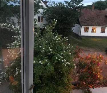 Kaseberga House | Botanikerns hus