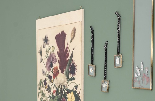Heidelberg City Centre House | Botanist's Dream