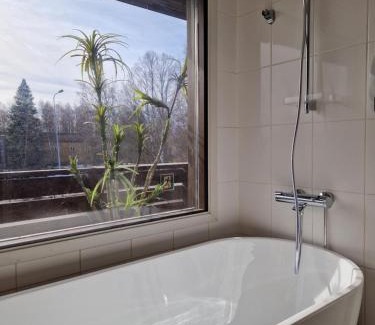 Larsmo Hotel | Botnia Hotel & Restaurant