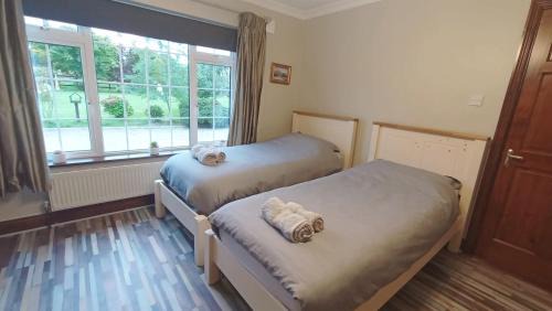 Ballyedmond House | Bottega Guesthouse and Gallery