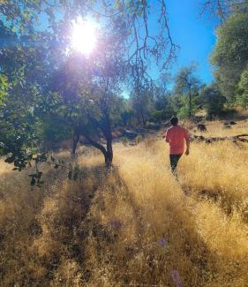 Kelseyville House | BottleRock Farm 80acre Resort with Alpacas, Lake, Hot Tub