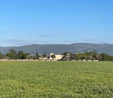 Cleon-d'Andran Apartment | Boulevard de Provence 2