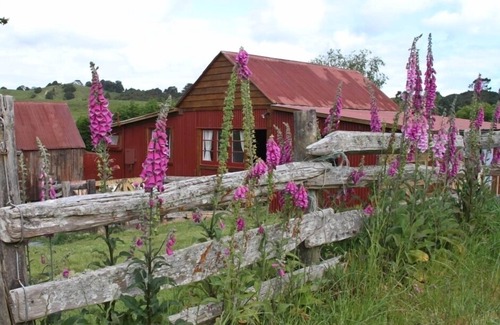 Puhoi House | 'Boutique Barn' barn accommodation/wedding venue