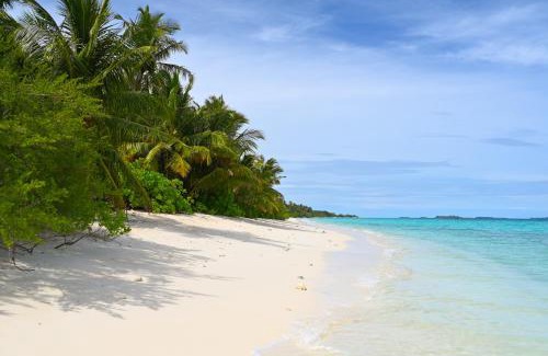 Dhigurah House | Boutique Beach All Inclusive Diving Hotel