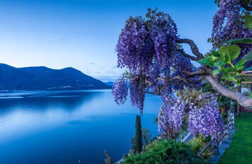 Porto Ronco Hotel | Boutique Hotel La Rocca