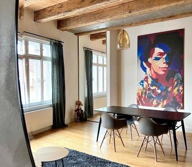 Novy Jicin Apartment | Boutique REZIDENCE BAAR