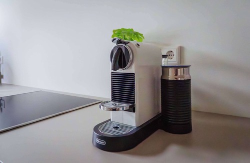 Celle Apartment | Boutique Suite by the Park w Parking