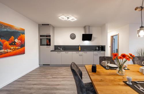 Horb am Neckar Apartment | BPS Apartment #4 Flair - NEU - Deluxe - Modern