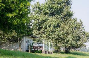 Nottingham Road Hotel | Brahman Hills - Gardens, Hotel & Cottages