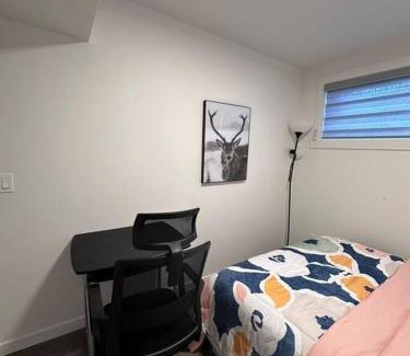 Southwest Edmonton Apartment | Brand new 1 Bedroom Basement Suite. Wi-Fi,Netflix