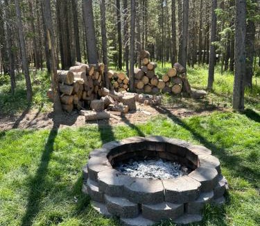 Island Park House | Brand new Bills Island cabin