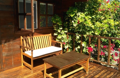 La Orotava Cottage | Brand New Cottage In Avocado Plantation Near Playa Bollullo