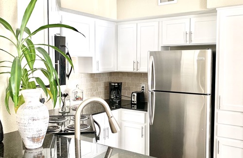 Astrodome Apartment | Brand New near Houston Medical Center/Rice University/NRG Stadium
