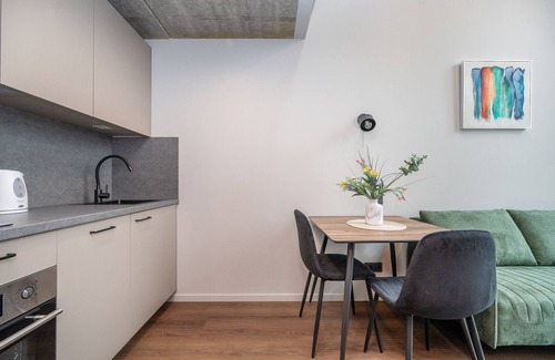 Vilnius city municipality Apartment | Brand New Urban Loft 72