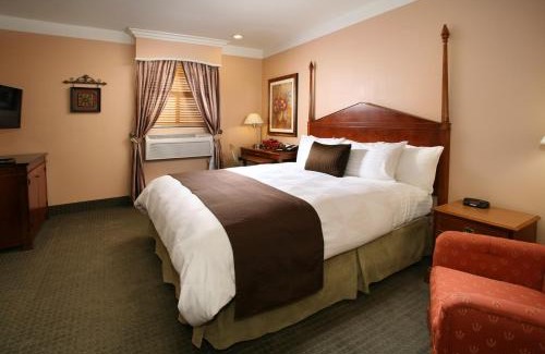Downtown Hotel | Brand Plaza Hotel