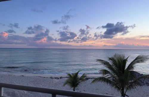 South Bimini Apartment | Breath taking OCEAN FRONT 5L Bimini Cove just steps from pool & Tiki bar
