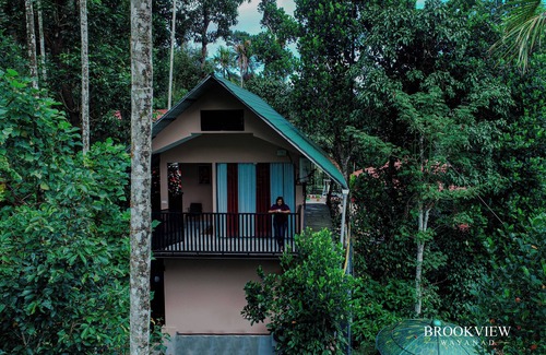 Gudalur Villa | Breathtaking 2 bedroom pool villa in coffee plantation @ Brookview Wayanad