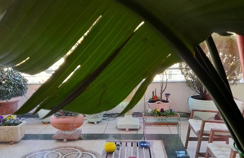 Lamia House | BREATHTAKING luxury place CENTRAL GREECE, Spectacular mainland-islands escapes!