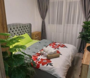 Breaza de Jos Apartment | Breaza Comfort Apartment