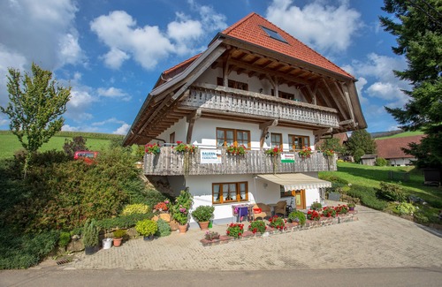 Oberharmersbach Apartment | Breigenhof - cozy apartment Falcon nest in the attic - sunny location