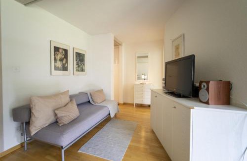 Engadin Scoul Apartment | Brentschpark 28