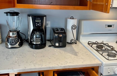 Bridgeport Apartment | Bridgeport Place -free parking, McCormick-Sox Park