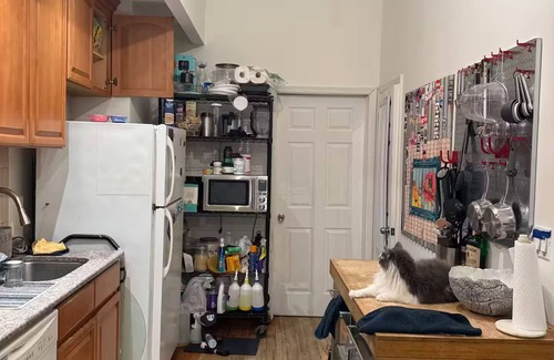 Bushwick Apartment | Bright Bushwick Room in Art Duplex