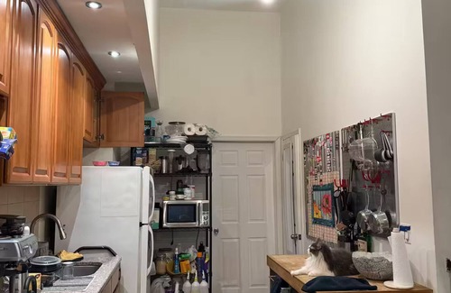 Bushwick Apartment | Bright Bushwick Room in Art Duplex