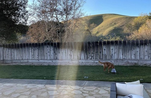 Salinas House | Bright cozy home10 minutes from Monterey and Carmel!