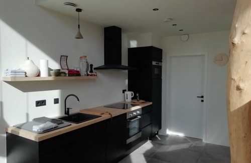 Sas van Gent Villa | Bright ecological 4-person luxury vacation home