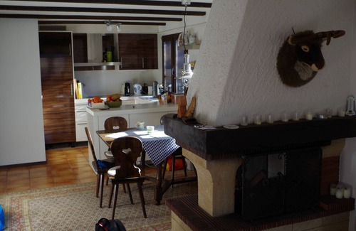 Ernen Apartment | Bright quiet apartment with great views of the mountains for hiking and skiing