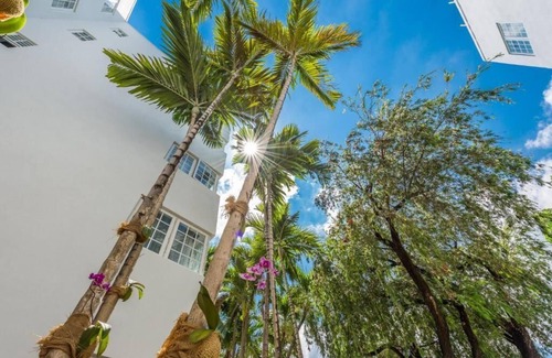 City Center House | Bring the Whole Squad! 3 Convenient Units, Picnic Area, Close to Miami Beach!