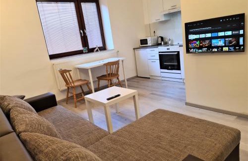 Brno Apartment | Brno apartment