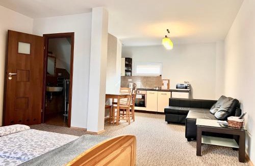Pradnik Bialy Apartment | Bronowice