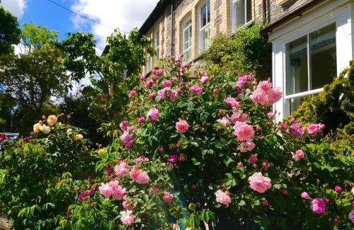 Wadebridge House | Brookdale House