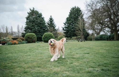 Watton Bed & Breakfast | Broom Hall Country Hotel