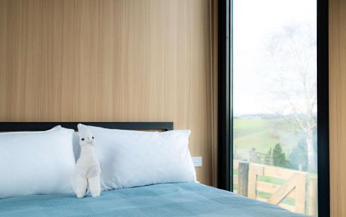 Surat Bay House | Bruce Farm Alpaca Cabin 4 by Tiny Away