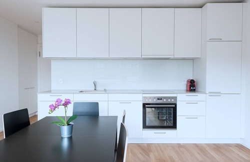 Basel City Centre Apartment | BS Wolf V - Messe HITrental Apartment