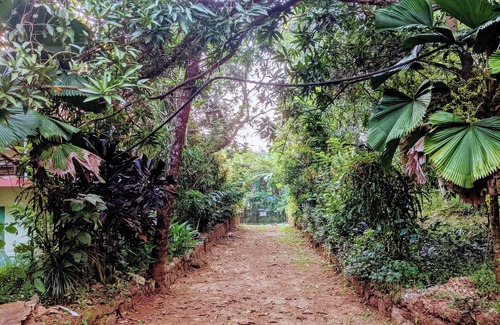 Kozhikode Villa | Budget Kerala Countryside Heritage Villa near Waterfall