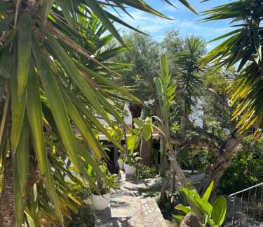 Santa Eulalia del Rio Bed & Breakfast | Buenavista & Suites