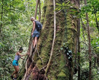 Bukit Lawang House | Bukitlawangtour and Accomodation